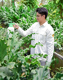 Pengendalian Hama Terpadu